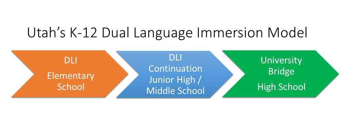 Dual Immersion Model logo