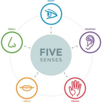 Five senses diagram with a picture of each five senses in a circle going outside the center
