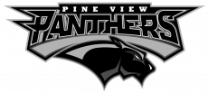 Pine View High logo